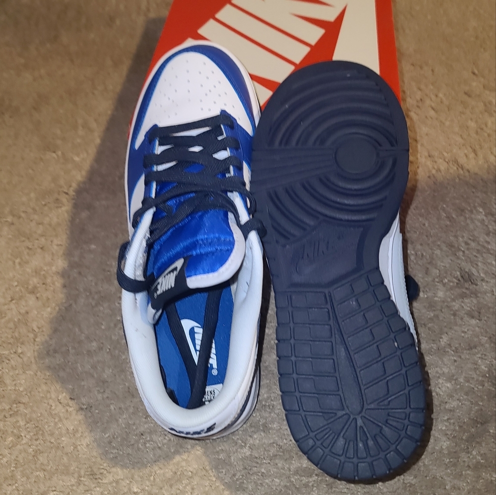 Nike Dunks 9.5